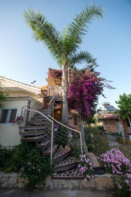 Bougainvillea House 1 Kalamata Eksteriør billede